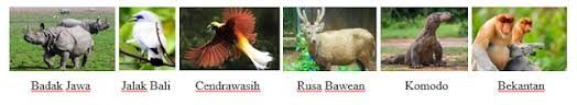 Gambar flora dan fauna di myanmar. Materi Flora Dan Fauna Endemik Negara Asean Ngiring Melajah