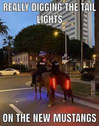 The Police Here Got The New Mustangs With Led Taillights 9gag