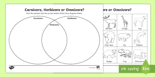 Omnivore definition an omnivore is an organism that can feed on both plant and animal sources. Animals That Eat Plants And Animals Omnivorous Animals