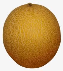 Bagaimana cara budidaya buah melon yang benar ~ tani kreatif from 3.bp.blogspot.com melon, (c) pengumpulan dan penimbangan buah. Melon Png Transparent Png Transparent Png Image Pngitem