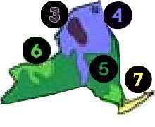 Check spelling or type a new query. Buy New York Trees Ny Shade Tree Sale Best New York Fruit Tree