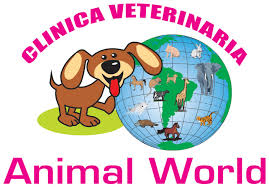 Veterinaria Animal World