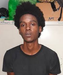 Suspected cable thieves granted bail