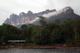 See more of naturgourmet venezuela on facebook. Fotos Von Venezuela Berg Natur Kuste