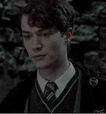 Mi profesor Tom Riddle