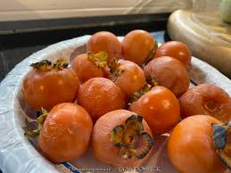 Image result for Diospyros mafiensis