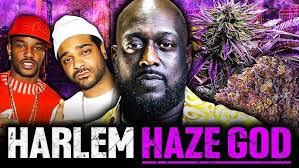 Maximillian White: Cannabis Billionaire or Fraud? Part 1/2