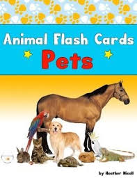 Realia Photo Animal Flash Cards Pets Free Animal Flashcards Pets Preschool Theme Pets Preschool
