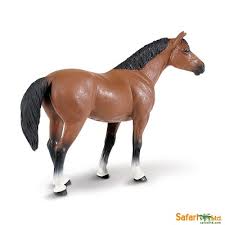 Safaripedia Quarter Horse Gelding