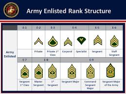 Other ranks are the enlisted soldiers of the army. Le3 C5s5t5pg89 90 Army Rank Structure Purpose This Lesson Introduces The Army Rank Structure Ppt Download