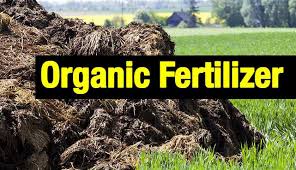 This is a notably high percentage for fertilizer components. What Are Different Types Of Fertilizer