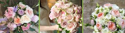 When you need to send flowers by mail, look to proflowers for the freshest, most amazing floral gift selection available. Farm To Canada Canada S Premier Fresh Cut Flower Importer And Wholesaler