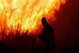 Μετά τον χθεσινό εμπρησμό με γκαζάκι στην άνω πόλη, σήμερα Emprhsmos Apo Ameleia Sthn Paro Sterea News