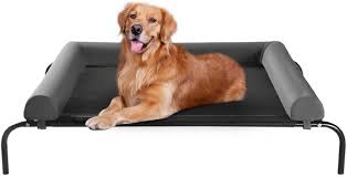Maybe you would like to learn more about one of these? Amazon Com Western Home Elevated Dog Bed Cot Chew Proof Raised Outdoor Dog Bed With Bolster For Extra Large Dogs Portable Cooling Pet Cot With Breathable Mesh Skid Resistant Feet Grey 48 25 Inches