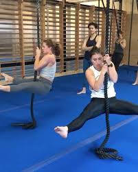 292 Me Gusta 8 Comentarios Gymnasticbodies Sydney Falsegrip En Instagram The Falsegrip Crew Working Hard In Gst Fundamen Rope Pulls Work Hard Instagram