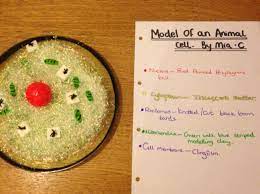 Animal cells have different parts which contain many types of specialized organelles that help in carrying out various functions of the body. Model Of A Specialised Cell Project Animal Cell Made From Plastic Plate Iridescent Scatter A Polystyrene Ball Black L Cells Project Animal Cell Cell Model