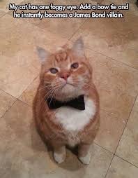 Nemesis of james bond 007. Blofeld Is That You Jamesbond