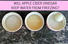 Does Apple Cider Vinegar Keep Water From Freezing Fresh Eggs Daily