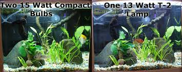 We did not find results for: T 2 Subminiature Aquarium Lighting Via Aqua T8 Light Replacement