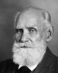 Help, My Dog Got Bit by a Raccoon