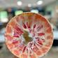 Learn and create Stoneware 101 Class