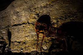 Don't forget to bookmark this page by hitting (ctrl + d), Gateway To Hell Inside Haunted Houska Castle Amy S Crypt