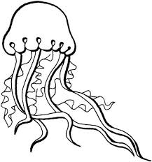 Qualle Ausmalbild Free Printable Coloring Pages Malvorlagen Tiere Ausmalen Ausmalbilder Kinder