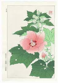 Hibiscus And Buds By Kawarazaki Shodo 1889 1973 Japanese Woodblock Printing Art Flower Art