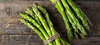 Image result for Asparagus laricinus