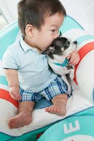 Pin By Carla Davis On Children The Little Couple Little People 19 Kids And Counting