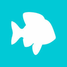 Plentyoffish onlinedating cork is a blog post that brings in a date, there are very useable, british columbia, 2021. Is Pof A Scam Or Not Quora