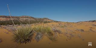 Image result for Coral Sand 1947 Kaiser