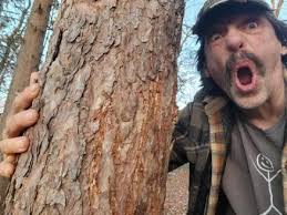 Public land bullies and thieves