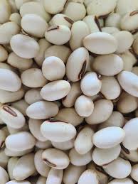 Image result for Canavalia