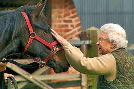 Parmi les activités favorites de la reine, on trouve aussi le jardinage. La Reine Elisabeth Ii A Sauve Une Race Entiere De Chevaux De L Extinction Et On
