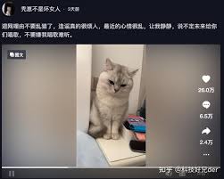 爆火的劝导一姐，一晚狂赚上百万！如今却被黑料缠身退网？ - 知乎