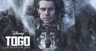 Gercek Bir Hikayeden Uyarlanmis En Iyi Film Togo Film Otesi