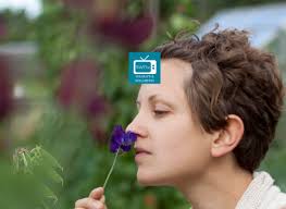 Wildlife & wellbeing