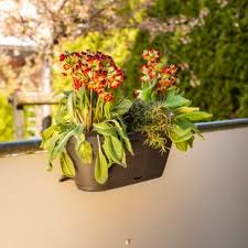 Es gibt 328 garten holzgitter anbieter, die hauptsächlich in asien angesiedelt sind. Blumentopf Holz Gitter Wayfair De