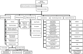 t1dgc organization chart download scientific diagram