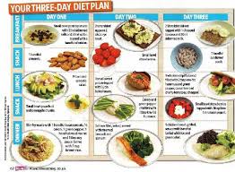 Margarine 1 small salad 1/2 cup fresh fruit. Sample Meal Plan For Type 1 Diabetic Child Meal Plan For Diabetic Child