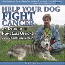 However half of all cancers are treatable if caught early, professionals say. Help Your Dog Fight Cancer An Overview Of Home Care Options Featuring Bullet S Survival Story By Laurie Kaplan
