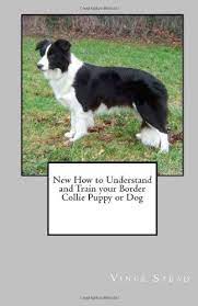 New How To Understand And Train Your Border Collie Puppy Or Dog By Vince Stead Http Www Amaz Border Collie Puppies Border Collie Puppy Training Border Collie