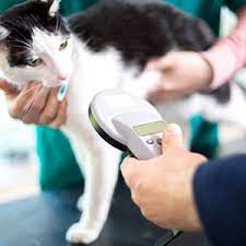 911 pet chip phone number. Microchip Registration 24petwatch