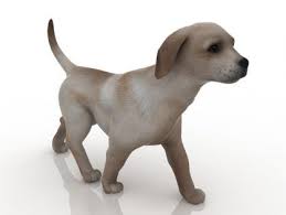Pin On Animals Free 3d Models