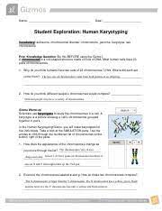 An excellent leader is often a leader who can produce leaders in the future. Kami Export Humankaryotypingse Pdf Javier Castel Name Date Student Exploration Human Karyotyping Vocabulary Autosome Chromosomal Disorder Chromosome Course Hero