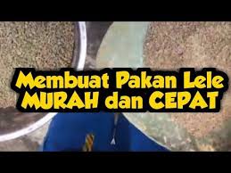 Pin On Ikan