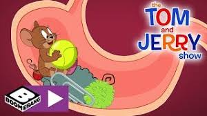 Открыть страницу «tom and jerry» на facebook. The Tom And Jerry Show Tom Jerry And The Ball Boomerang Uk Youtube
