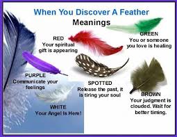 Feather Meanings Feather Meaning Finding Feathers Feather Magic