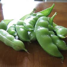 Space rows of dwarf grey sugar peas every 2 feet to provide plenty of growing space. Dwarf Grey Sugar Pea Seeds Urban Farmer